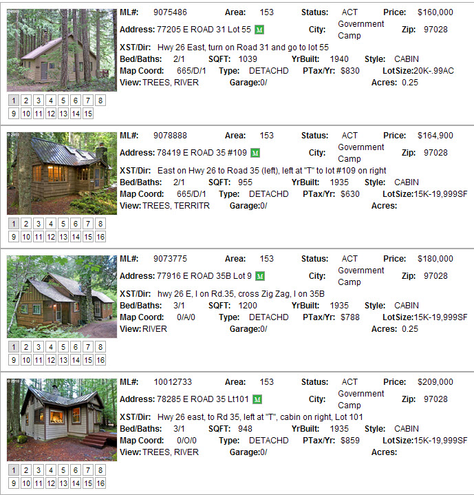 Government Camp and Leased Land Cabins Liz Warren Mt. Hood Real Estate